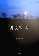 밤 중의 밤 표지 이미지