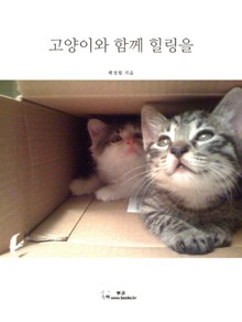 고양이와 함께 힐링을