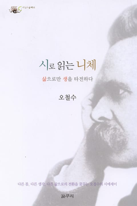 시로 읽는 니체 표지 이미지