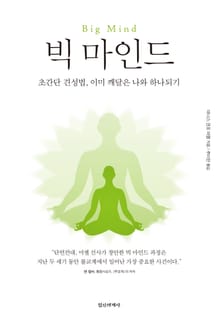 빅 마인드 : 초간단 견성법, 이미 깨달은 나와 하나되기,Big Mind