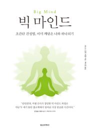 빅 마인드 : 초간단 견성법, 이미 깨달은 나와 하나되기,Big Mind