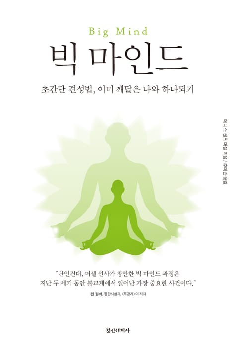 빅 마인드 : 초간단 견성법, 이미 깨달은 나와 하나되기,Big Mind 표지 이미지