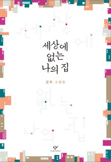 세상에 없는 나의 집 : 금희 소설집