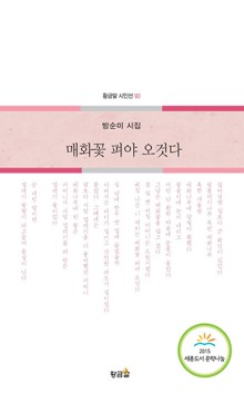 매화꽃 펴야 오것다