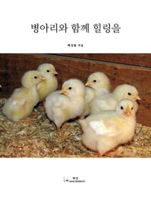 병아리와 함께 힐링을