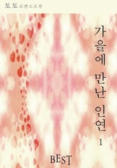 가을에 만난 인연 표지 이미지