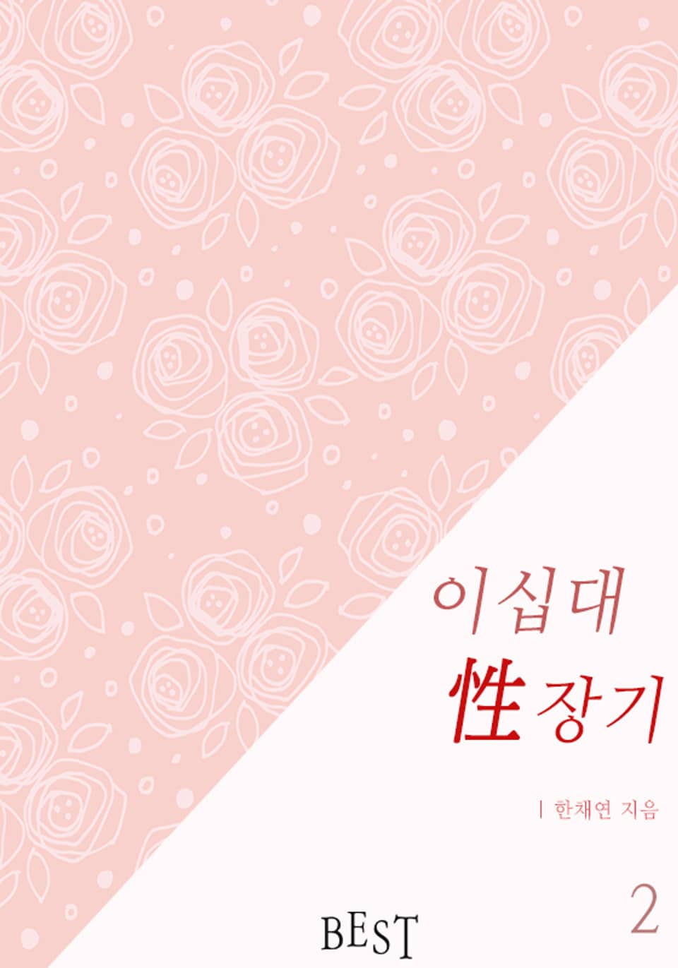 이십대 성(性)장기 2권 (완결)