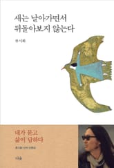 새는 날아가면서 뒤돌아보지 않는다 표지 이미지