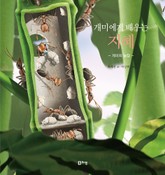 개미에게 배우는 지혜 표지 이미지