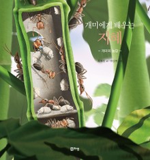 개미에게 배우는 지혜