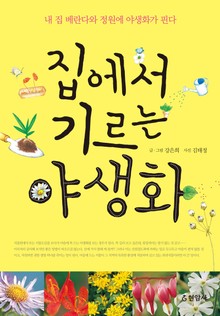 집에서 기르는 야생화