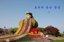 조이가 만난 한국 1