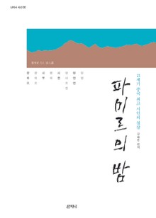 파미르의 밤