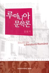 루마니아 문학론 표지 이미지