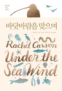 바닷바람을 맞으며