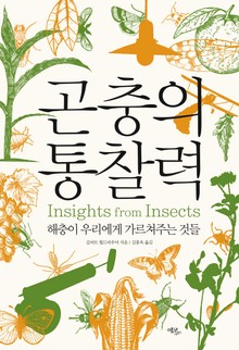 곤충의 통찰력