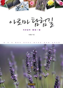 아로마 탐험길