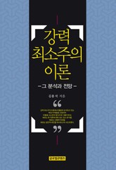 강력 최소주의 이론 표지 이미지