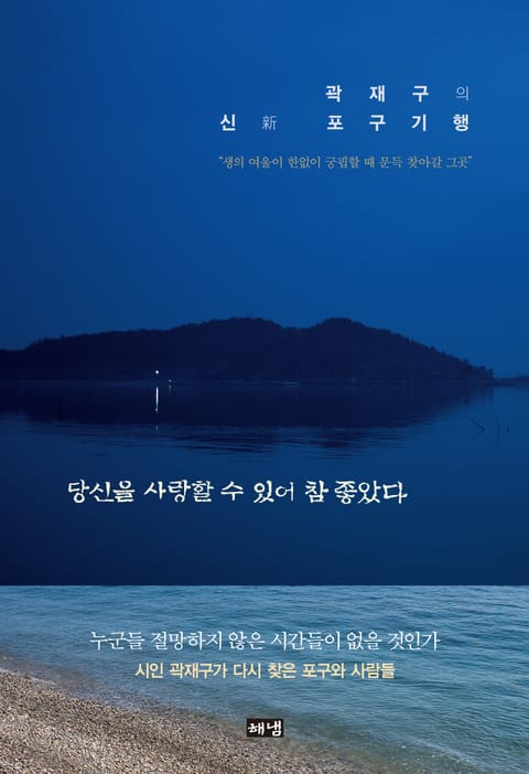 당신을 사랑할 수 있어 참 좋았다 : 곽재구의 신新 포구기행 표지 이미지