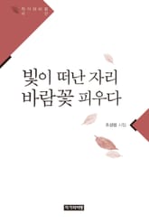 빛이 떠난 자리 바람꽃 피우다 표지 이미지