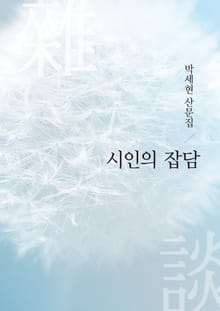 시인의 잡담