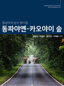 동남아의 순수 원시림, 동파야옌-카오야이 숲