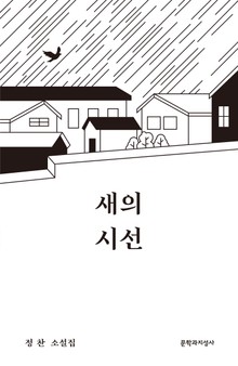 새의 시선