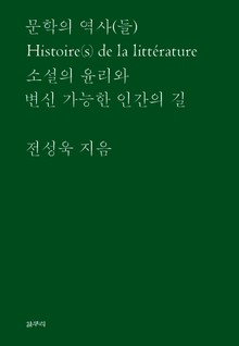 문학의 역사(들)