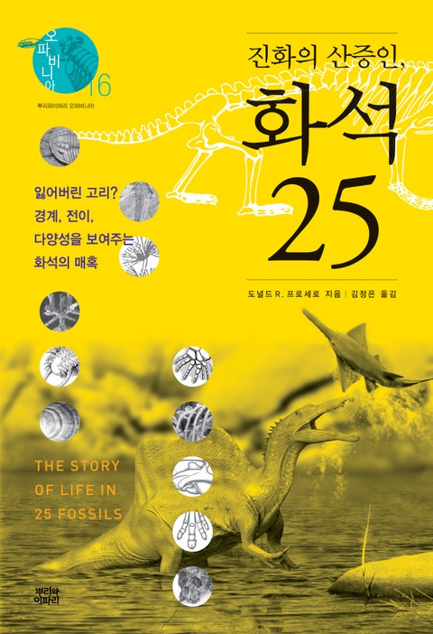 진화의 산증인, 화석 25 표지 이미지