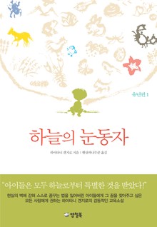 하늘의 눈동자 1