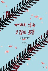 꺼지지 않는 오월의 불꽃 : 5.18 광주혈사 표지 이미지