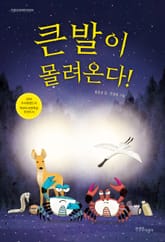 큰발이 몰려온다! 표지 이미지