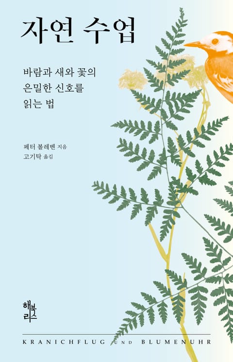 자연 수업 : 바람과 새와 꽃의 은밀한 신호를 읽는 법 표지 이미지