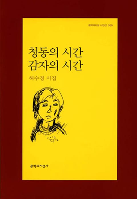 청동의 시간 감자의 시간 표지 이미지