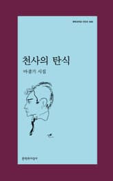 천사의 탄식 표지 이미지