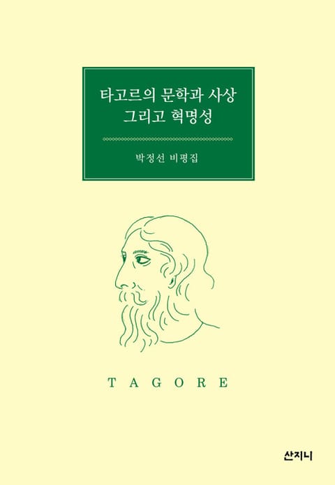 타고르의 문학과 사상 그리고 혁명성 : 박정선 비평집 표지 이미지