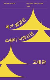 네가 빌었던 소원이 나였으면 표지 이미지