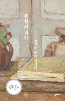 문학의 위안