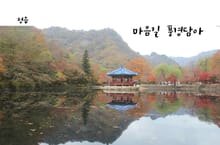 마음길 풍경담아 - 정읍