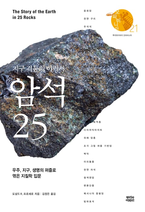 지구 격동의 이력서, 암석 25 표지 이미지