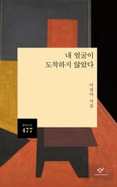 내 얼굴이 도착하지 않았다 표지 이미지