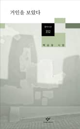 거인을 보았다 표지 이미지