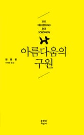 아름다움의 구원 표지 이미지