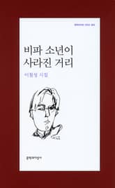 비파 소년이 사라진 거리 표지 이미지