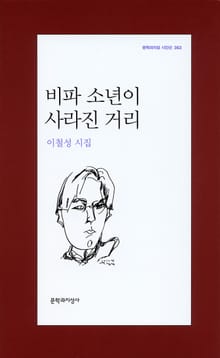 비파 소년이 사라진 거리
