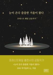 눈이 온다 쓸쓸한 겨울이 왔다