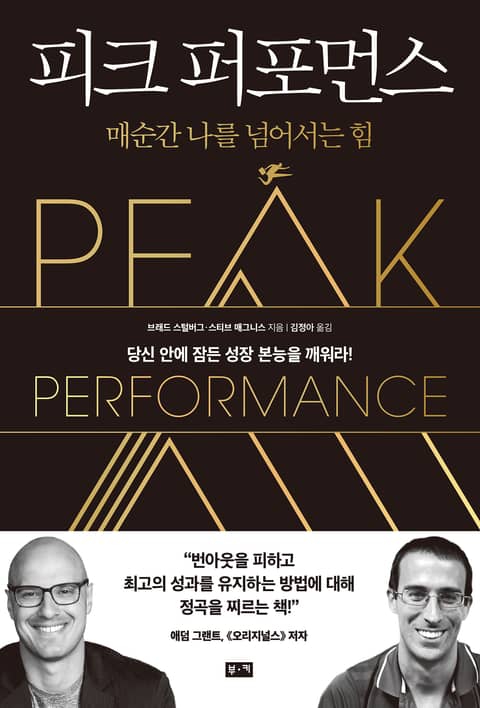 피크 퍼포먼스 : 매순간 나를 넘어서는 힘 표지 이미지