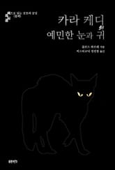 카라 케디의 예민한 눈과 귀 : 색으로 읽는 공포와 공상 (블랙) 표지 이미지