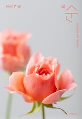 매일성경 순 2023년 7-8월호(디도서, 예레미야 1-25장, 시편 90-94편) 표지 이미지