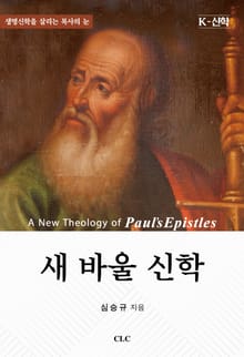 새 바울 신학 : 생명신학을 살리는 목사의 눈